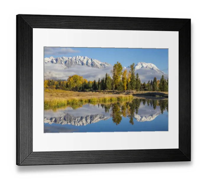 Framed Print : Mt. Moran and Teton Range reflecting in channel of Snake River, Schwabacher Landing, Grand Teton National Park, Wyoming, USA Framed Print : Mt. Moran and Teton Range reflecting in channel of Snake River, Schwabacher Landing, Grand Teton National Park, Wyoming, USA