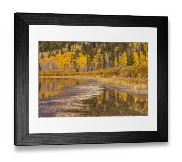 Framed Print : Scenic view of Two Ocean Lake in autumn, Grand Teton National Park, Wyoming, USA Framed Print : Scenic view of Two Ocean Lake in autumn, Grand Teton National Park, Wyoming, USA