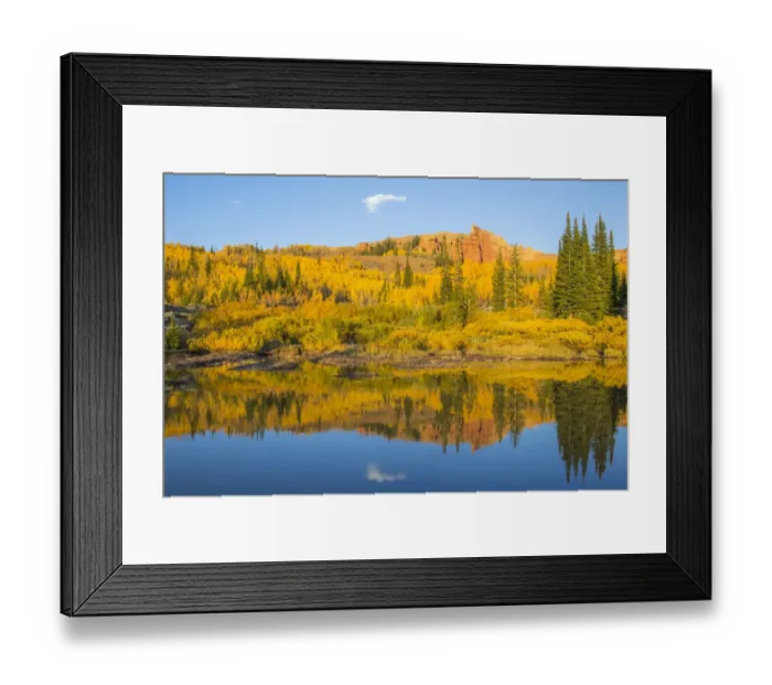 Framed Print : Autumn landscape with aspens and Red Cliffs on sunny day, Wyoming Range, Sublette County, Wyoming, USA Framed Print : Autumn landscape with aspens and Red Cliffs on sunny day, Wyoming Range, Sublette County, Wyoming, USA