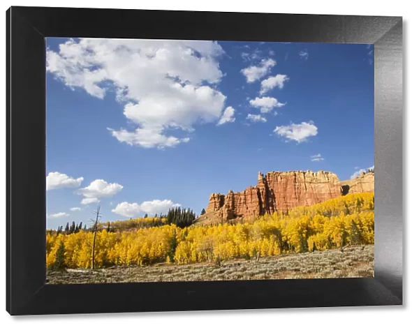 Autumn landscape with aspens and Red Cliffs on sunny day, Wyoming Range, Sublette County, Wyoming, USA