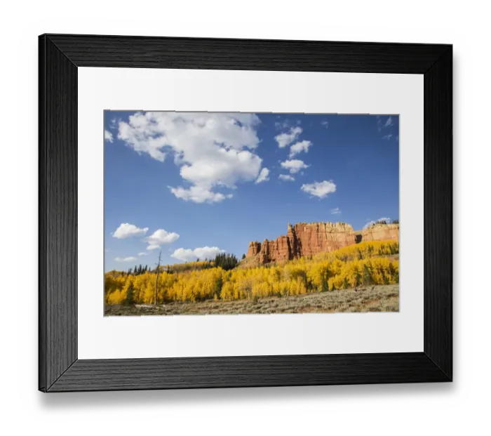 Framed Print : Autumn landscape with aspens and Red Cliffs on sunny day, Wyoming Range, Sublette County, Wyoming, USA Framed Print : Autumn landscape with aspens and Red Cliffs on sunny day, Wyoming Range, Sublette County, Wyoming, USA
