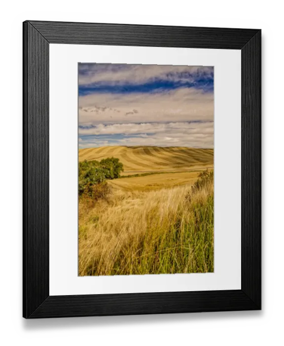 Framed Print : Farm country landscape, Pullman, Colorado, USA Framed Print : Farm country landscape, Pullman, Colorado, USA