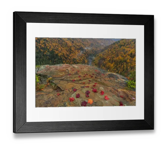 Framed Print : Scenic view of Blackwater River seen from Pendleton Point, Blackwater Falls State Park, Davis, West Virginia, USA