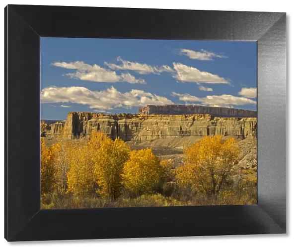 Autumn landscape, Upper Blue Hills, Wayne County, Utah, USA