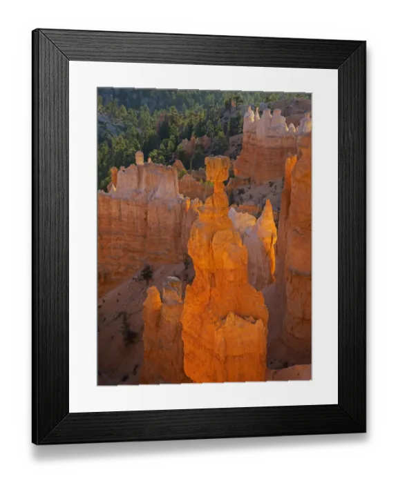 Framed Print : Thors Hammer, Bryce Canyon National Park, Utah, USA Framed Print : Thors Hammer, Bryce Canyon National Park, Utah, USA