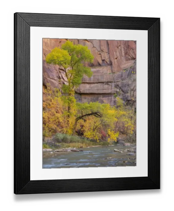 Framed Print : Virgin River, Zion National Park, Utah, USA Framed Print : Virgin River, Zion National Park, Utah, USA
