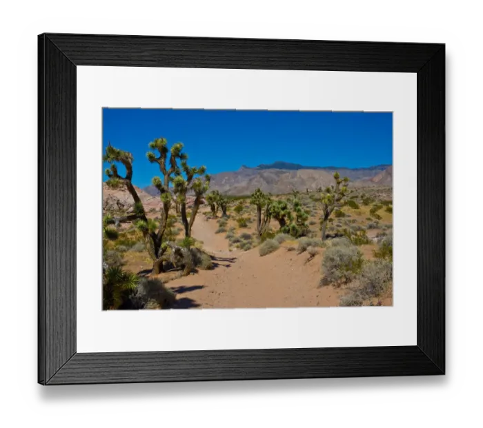 Framed Print : Landscape in Gold Butte National Monument, Mesquite, Nevada, USA Framed Print : Landscape in Gold Butte National Monument, Mesquite, Nevada, USA