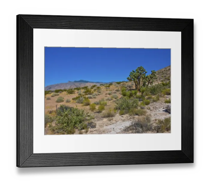 Framed Print : Landscape in Gold Butte National Monument, Mesquite, Nevada, USA Framed Print : Landscape in Gold Butte National Monument, Mesquite, Nevada, USA