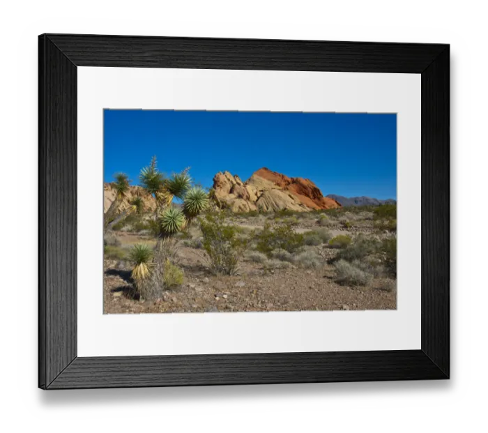 Framed Print : Whitney Pocket rock formation in Gold Butte National Monument, Mesquite, Nevada, USA Framed Print : Whitney Pocket rock formation in Gold Butte National Monument, Mesquite, Nevada, USA