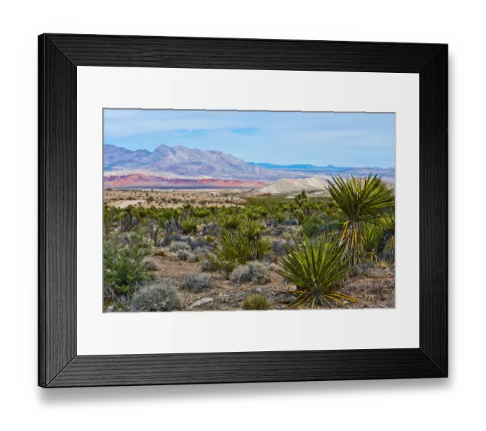 Framed Print : Million Hills seen from Gold Butte Road, Gold Butte National Monument, Mesquite, Nevada, USA Framed Print : Million Hills seen from Gold Butte Road, Gold Butte National Monument, Mesquite, Nevada, USA
