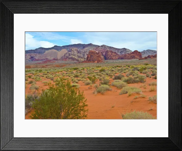 Framed Print : Landscape in Gold Butte National Monument, Mesquite, Nevada, USA
