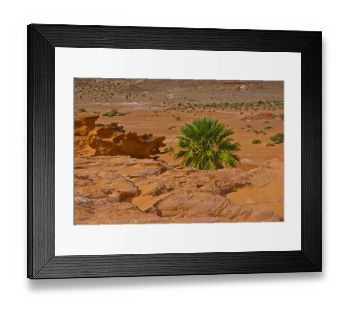 Framed Print : Little Finland rock formation in Gold Butte National Monument, Mesquite, Nevada, USA Framed Print : Little Finland rock formation in Gold Butte National Monument, Mesquite, Nevada, USA