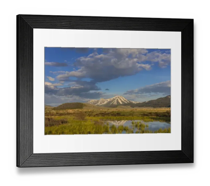 Framed Print : Landscape with herd of pronghorn antelope(Antilocapra americana) running and Sawtell Peak in background in Red Rocks National Wildlife Refuge, Montana, USA Framed Print : Landscape with herd of pronghorn antelope(Antilocapra americana) running and Sawtell Peak in background in Red Rocks National Wildlife Refuge, Montana, USA