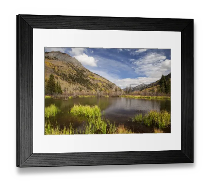 Framed Print : Beaver pond in mountain landscape, San Juan Mountains, Colorado, USA Framed Print : Beaver pond in mountain landscape, San Juan Mountains, Colorado, USA