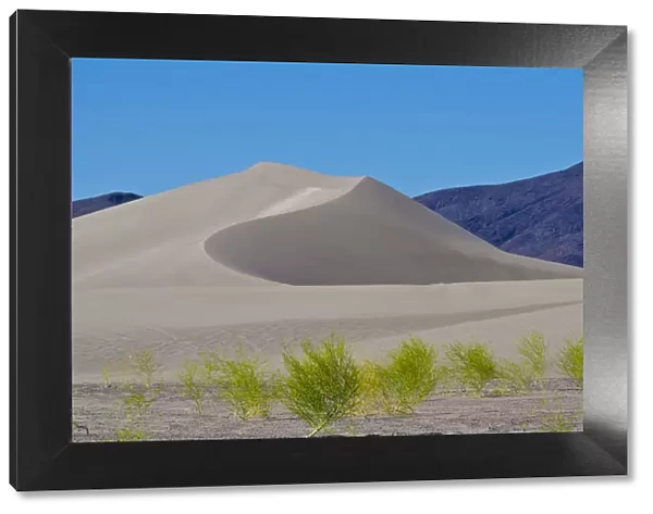 Landscape with Amargosa Dunes, Beatty, Nevada, USA
