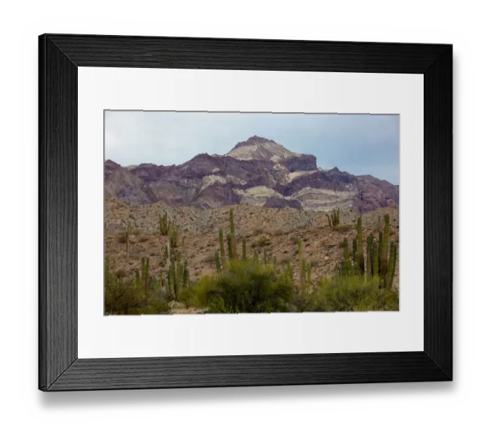 Framed Print : Landscape with mountain and cactus, Angel de la Guarda Island, Baja California, Sea of Cortez, Mexico Framed Print : Landscape with mountain and cactus, Angel de la Guarda Island, Baja California, Sea of Cortez, Mexico