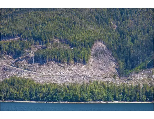 Clearcut logging on Inside Passage to Alaska, Ketchikan, Alaska, USA