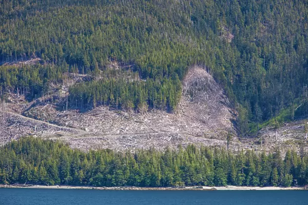 Clearcut logging on Inside Passage to Alaska, Ketchikan, Alaska, USA