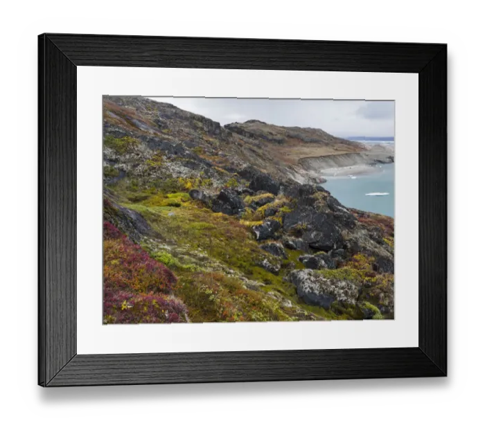 Framed Print : Tundra landscape near glacier Eqip (Eqip Sermia), Oqaatsut, Avannaata, Greenland, Denmark Framed Print : Tundra landscape near glacier Eqip (Eqip Sermia), Oqaatsut, Avannaata, Greenland, Denmark
