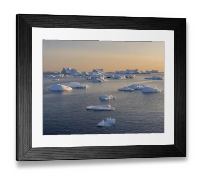 Framed Print : Icebergs at Disko Bay, Oqaatsut (Rodebay), Greenland, Denmark Framed Print : Icebergs at Disko Bay, Oqaatsut (Rodebay), Greenland, Denmark