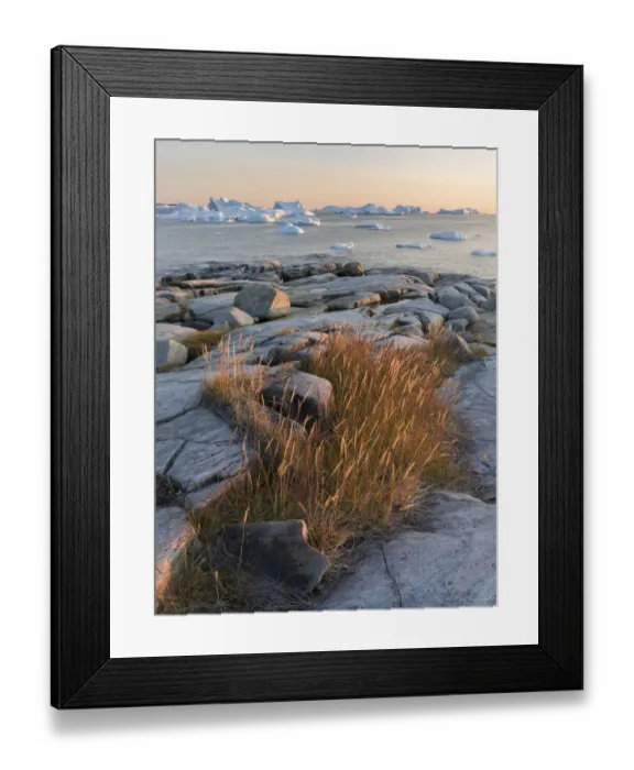 Framed Print : Coastal landscape with icebergs at Disko Bay, Oqaatsut (Rodebay), Greenland, Denmark