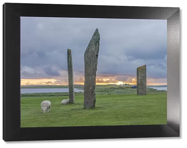 Stones of Stenness, Orkney Island, Scotland, UK