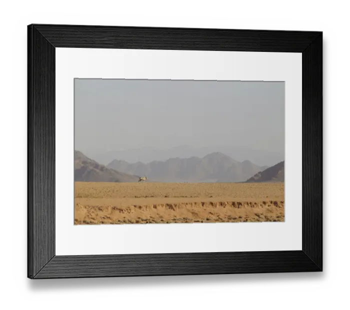 Framed Print : Gemsbok, Oryx gazella, in front of scenic landscape, Namib-Naukluft National Park, Hardap Region, Namibia Framed Print : Gemsbok, Oryx gazella, in front of scenic landscape, Namib-Naukluft National Park, Hardap Region, Namibia