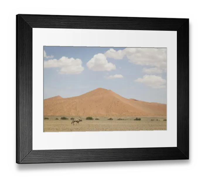 Framed Print : Gemsbok, Oryx gazella, in front of scenic landscape, Namib-Naukluft National Park, Hardap Region, Namibia Framed Print : Gemsbok, Oryx gazella, in front of scenic landscape, Namib-Naukluft National Park, Hardap Region, Namibia