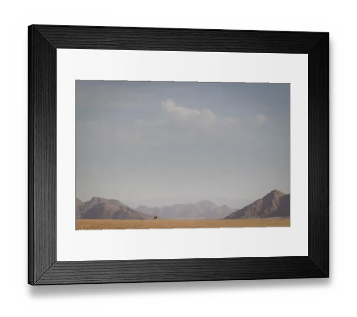 Framed Print : Gemsbok, Oryx gazella, in front of scenic landscape, Namib-Naukluft National Park, Hardap Region, Namibia Framed Print : Gemsbok, Oryx gazella, in front of scenic landscape, Namib-Naukluft National Park, Hardap Region, Namibia