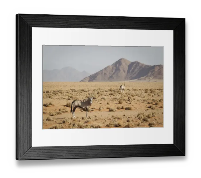 Framed Print : Gemsbok, Oryx gazella, in front of scenic landscape, Namib-Naukluft National Park, Hardap Region, Namibia Framed Print : Gemsbok, Oryx gazella, in front of scenic landscape, Namib-Naukluft National Park, Hardap Region, Namibia