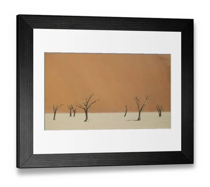 Framed Print : Scenic landscape at Deadvlei, Namib-Naukluft National Park, Hardap Region, Namibia Framed Print : Scenic landscape at Deadvlei, Namib-Naukluft National Park, Hardap Region, Namibia