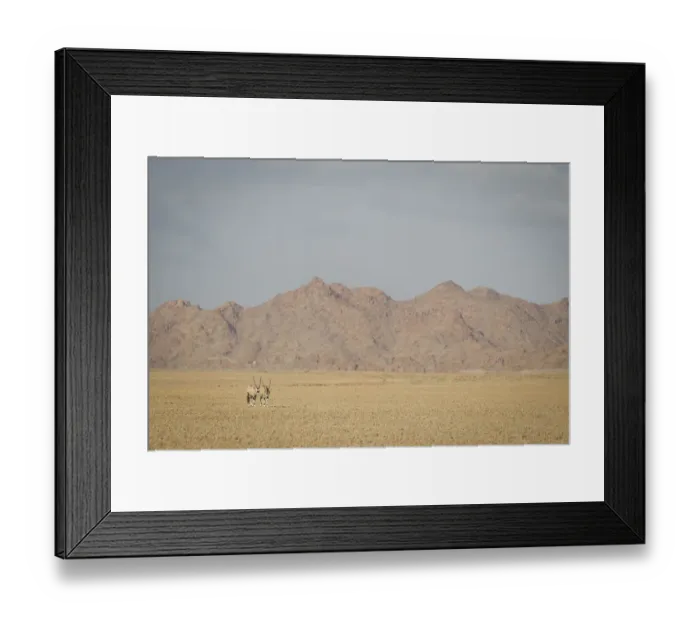 Framed Print : Gemsbok, Oryx gazella, in front of scenic landscape, Namib-Naukluft National Park, Hardap Region, Namibia Framed Print : Gemsbok, Oryx gazella, in front of scenic landscape, Namib-Naukluft National Park, Hardap Region, Namibia
