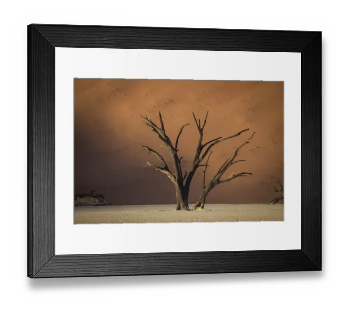 Framed Print : Scenic landscape at Deadvlei, Namib-Naukluft National Park, Hardap Region, Namibia Framed Print : Scenic landscape at Deadvlei, Namib-Naukluft National Park, Hardap Region, Namibia