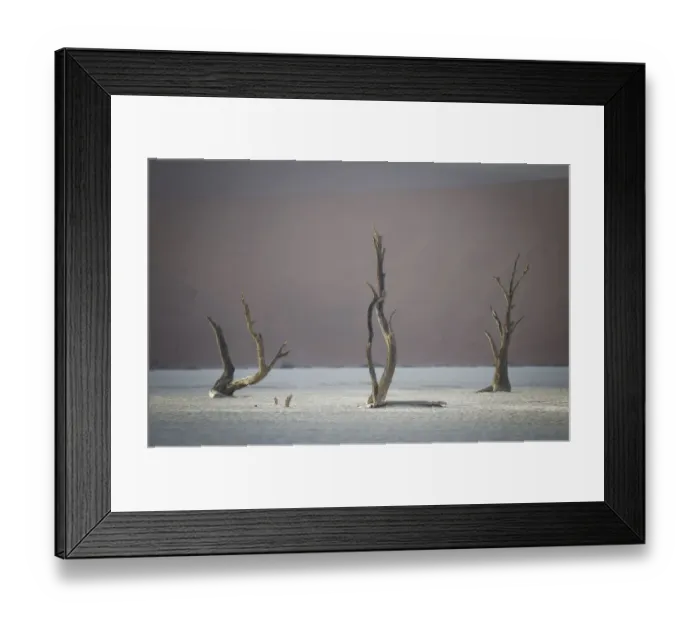 Framed Print : Scenic landscape at Deadvlei, Namib-Naukluft National Park, Hardap Region, Namibia Framed Print : Scenic landscape at Deadvlei, Namib-Naukluft National Park, Hardap Region, Namibia