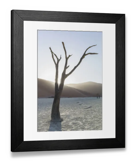 Framed Print : Scenic landscape at Deadvlei, Namib-Naukluft National Park, Hardap Region, Namibia Framed Print : Scenic landscape at Deadvlei, Namib-Naukluft National Park, Hardap Region, Namibia