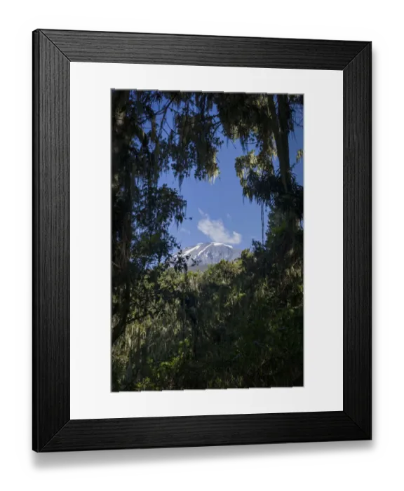 Framed Print : Kibo peak seen through rainforest trees along Mweka Route, Mount Kilimanjaro, Kilimanjaro Region, Tanzania