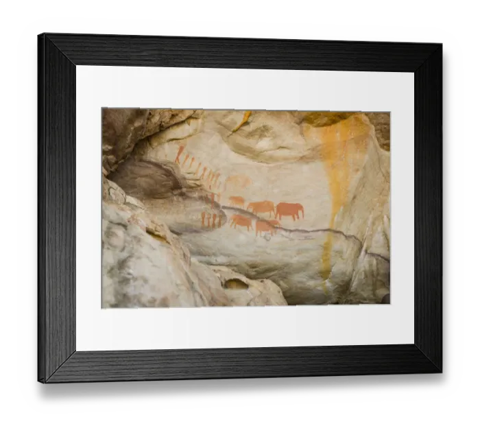 Framed Print : Elephant rock art paintings near Stadsaal Caves, Cederberg Wilderness Area, Western Cape Province, South Africa Framed Print : Elephant rock art paintings near Stadsaal Caves, Cederberg Wilderness Area, Western Cape Province, South Africa