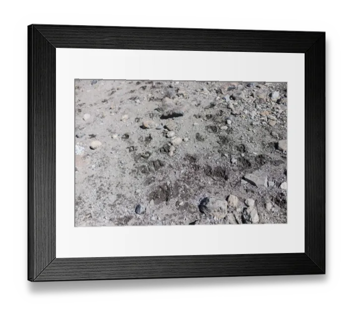 Framed Print : Fresh animal spoor at high elevation, Northern Circuit, Mount Kilimanjaro, Kilimanjaro Region, Tanzania Framed Print : Fresh animal spoor at high elevation, Northern Circuit, Mount Kilimanjaro, Kilimanjaro Region, Tanzania
