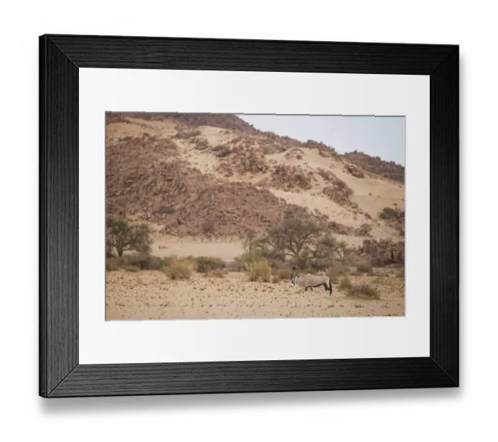 Framed Print : Gemsbok oryx, Oryx gazella, in scenic landscape, Namib-Naukluft Mountain Zebra National Park, Hardap Region, Namibia Framed Print : Gemsbok oryx, Oryx gazella, in scenic landscape, Namib-Naukluft Mountain Zebra National Park, Hardap Region, Namibia