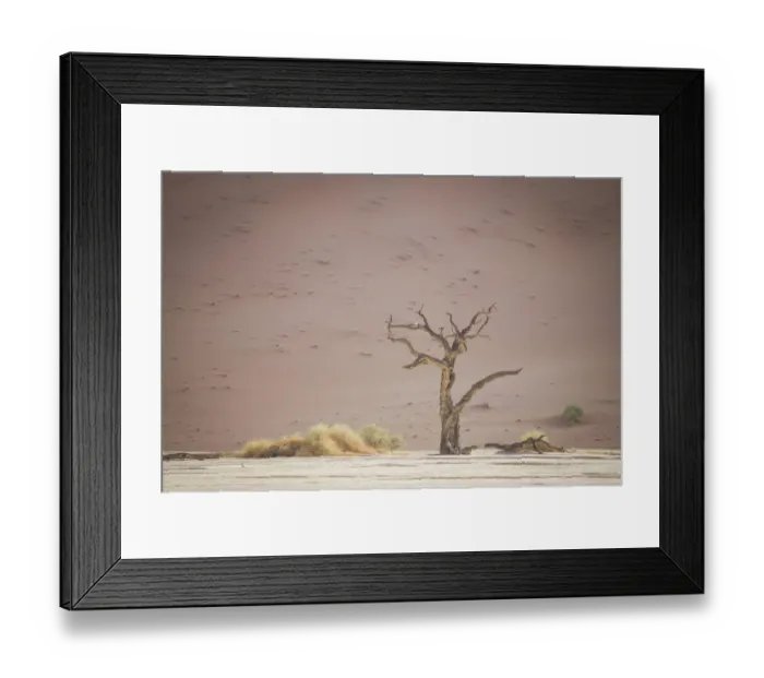 Framed Print : Scenic landscape at Deadvlei, Namib-Naukluft National Park, Hardap Region, Namibia Framed Print : Scenic landscape at Deadvlei, Namib-Naukluft National Park, Hardap Region, Namibia
