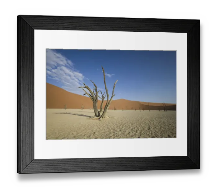 Framed Print : Scenic landscape at Deadvlei, Namib-Naukluft National Park, Hardap Region, Namibia Framed Print : Scenic landscape at Deadvlei, Namib-Naukluft National Park, Hardap Region, Namibia