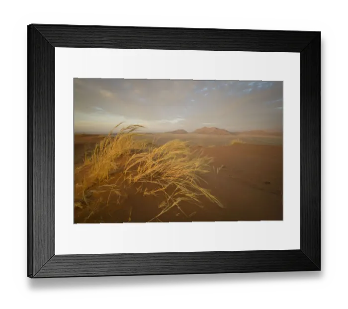 Framed Print : Scenic sunset view of desert landscape from Elim Dune, Namib-Naukluft National Park, Hardap Region, Namibia Framed Print : Scenic sunset view of desert landscape from Elim Dune, Namib-Naukluft National Park, Hardap Region, Namibia