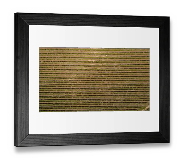 Framed Print : Aerial photo over the bright green vineyards of the Slanghoek valley near Worcester in the Western Cape of south Africa