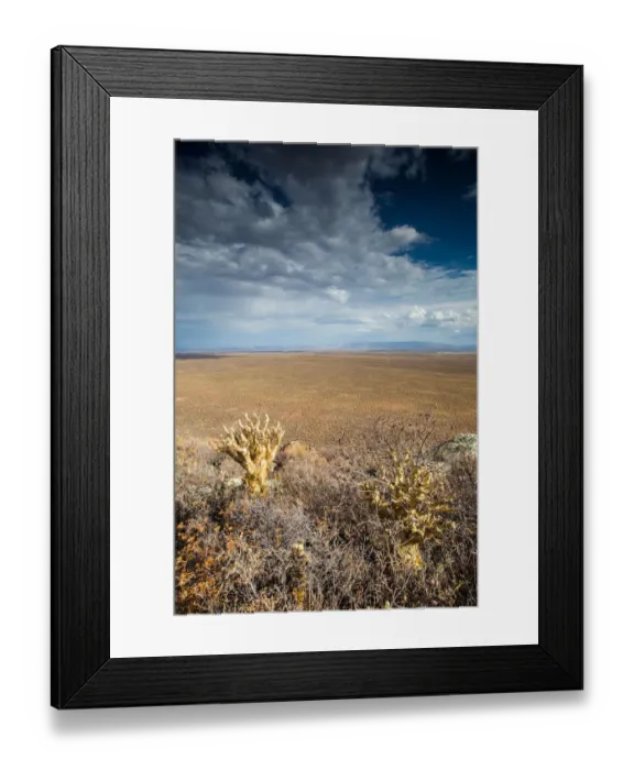 Framed Print : Panoramic views over the Tankwa Karoo Desert with dramatic thunderclouds in the sky