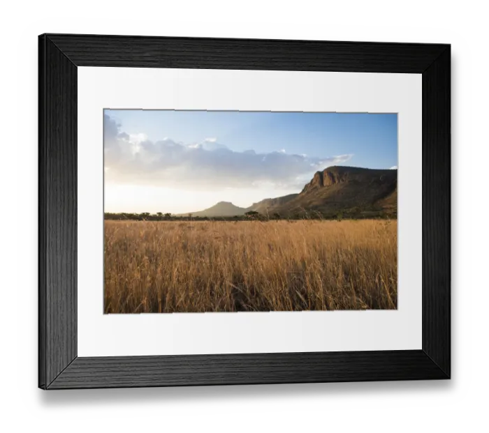 Framed Print : Grasslands and mountains at sunset, Marataba Private Game Reserve, Limpopo, South Africa Framed Print : Grasslands and mountains at sunset, Marataba Private Game Reserve, Limpopo, South Africa
