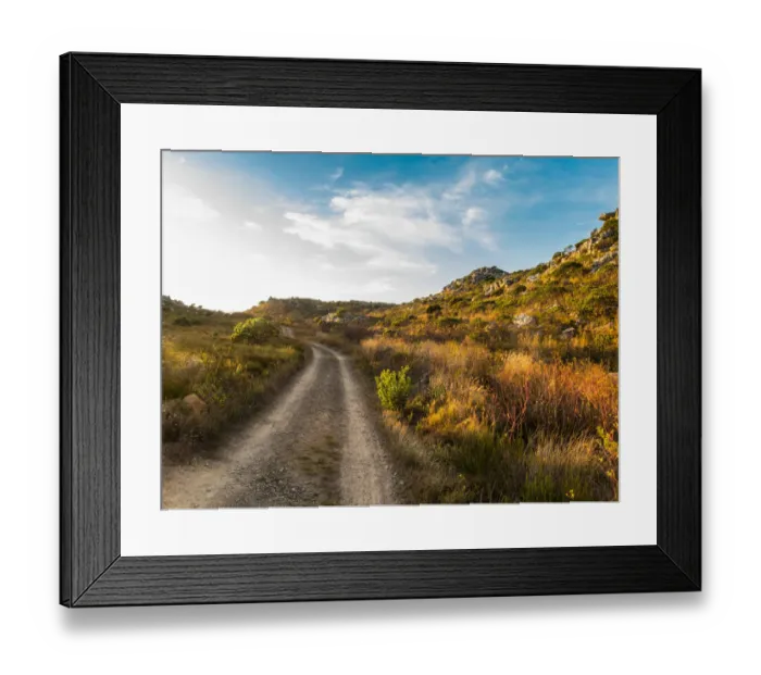 Framed Print : A gravel track through fynbos on the plateau of the Cape Peninsula Mountain Range. Cape `Town, South Africa Framed Print : A gravel track through fynbos on the plateau of the Cape Peninsula Mountain Range. Cape `Town, South Africa