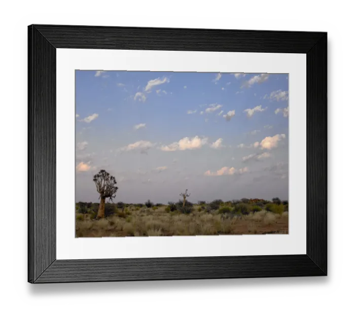 Framed Print : landscape of semi desert and tree. klein Karroo, cape town Framed Print : landscape of semi desert and tree. klein Karroo, cape town