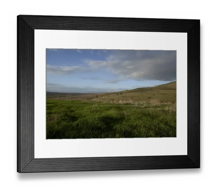 Framed Print : landscape of mountain and grassland, cape town, south Africa Framed Print : landscape of mountain and grassland, cape town, south Africa