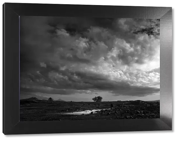 black and white landscape, cape town, south Africa