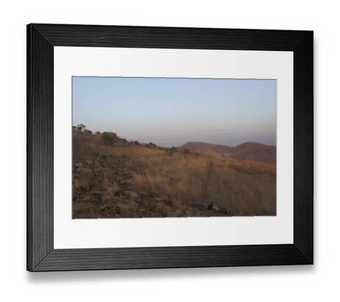 Framed Print : landscape of dry grass / veld, magaliesburg, south Africa Framed Print : landscape of dry grass / veld, magaliesburg, south Africa